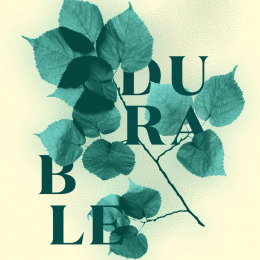 TRANSITION ECOLOGIQUE & PUB